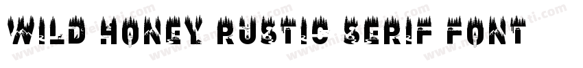 Wild Honey Rustic Serif Font字体转换